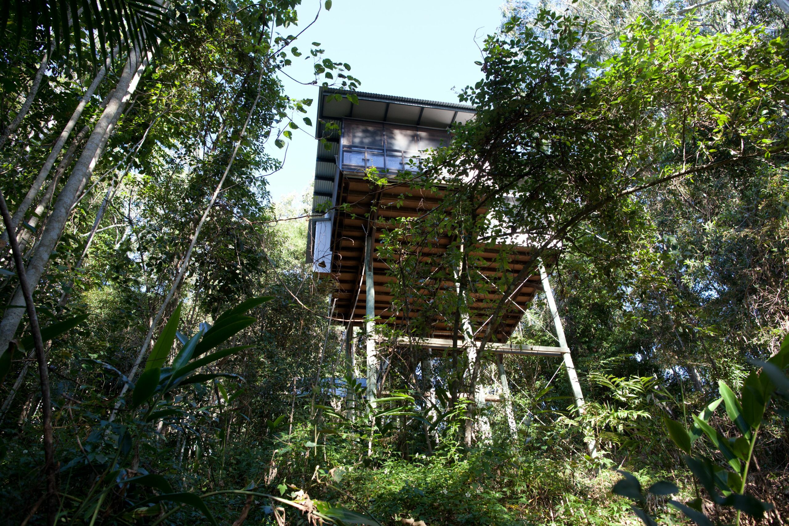 Lyola Pavilions in the Forest