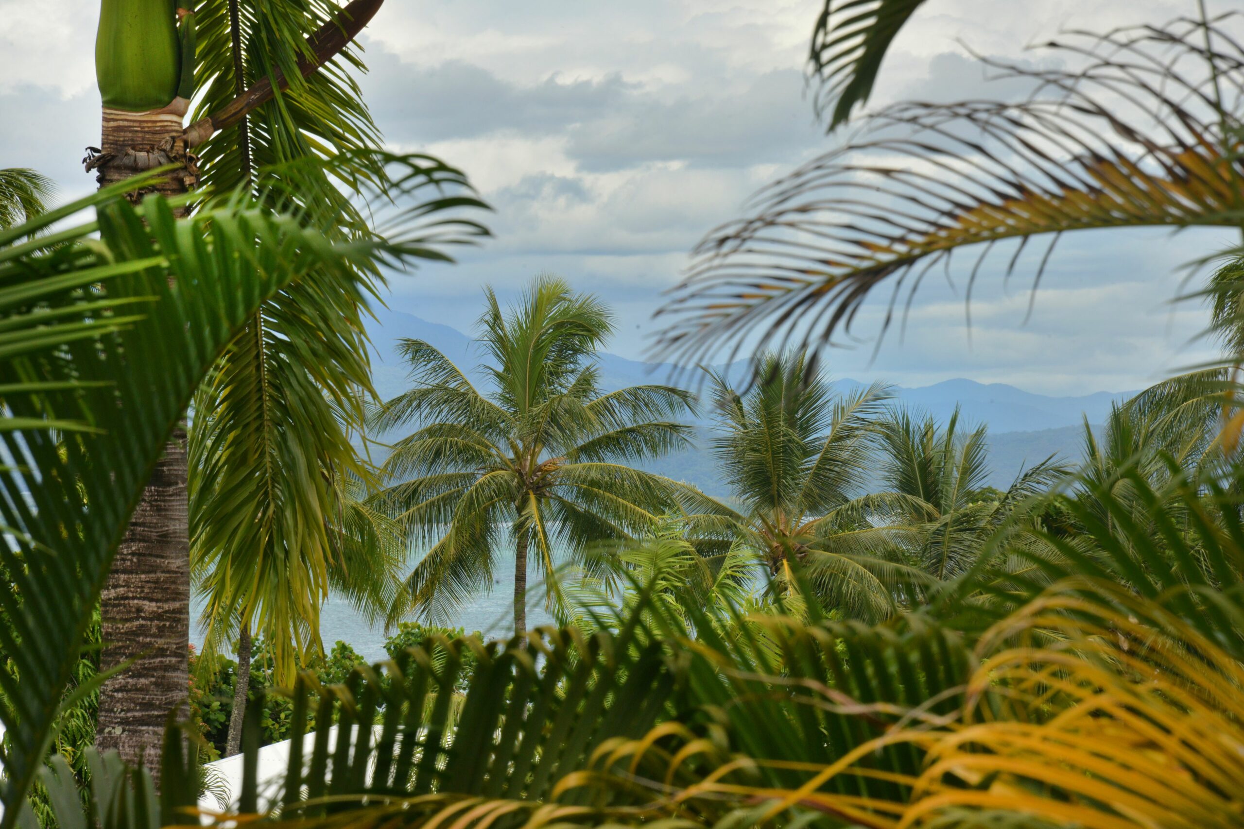 Club Tropical Resort Port Douglas