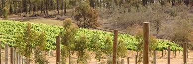 King Valley and Milawa Wine Tour (Private tour)