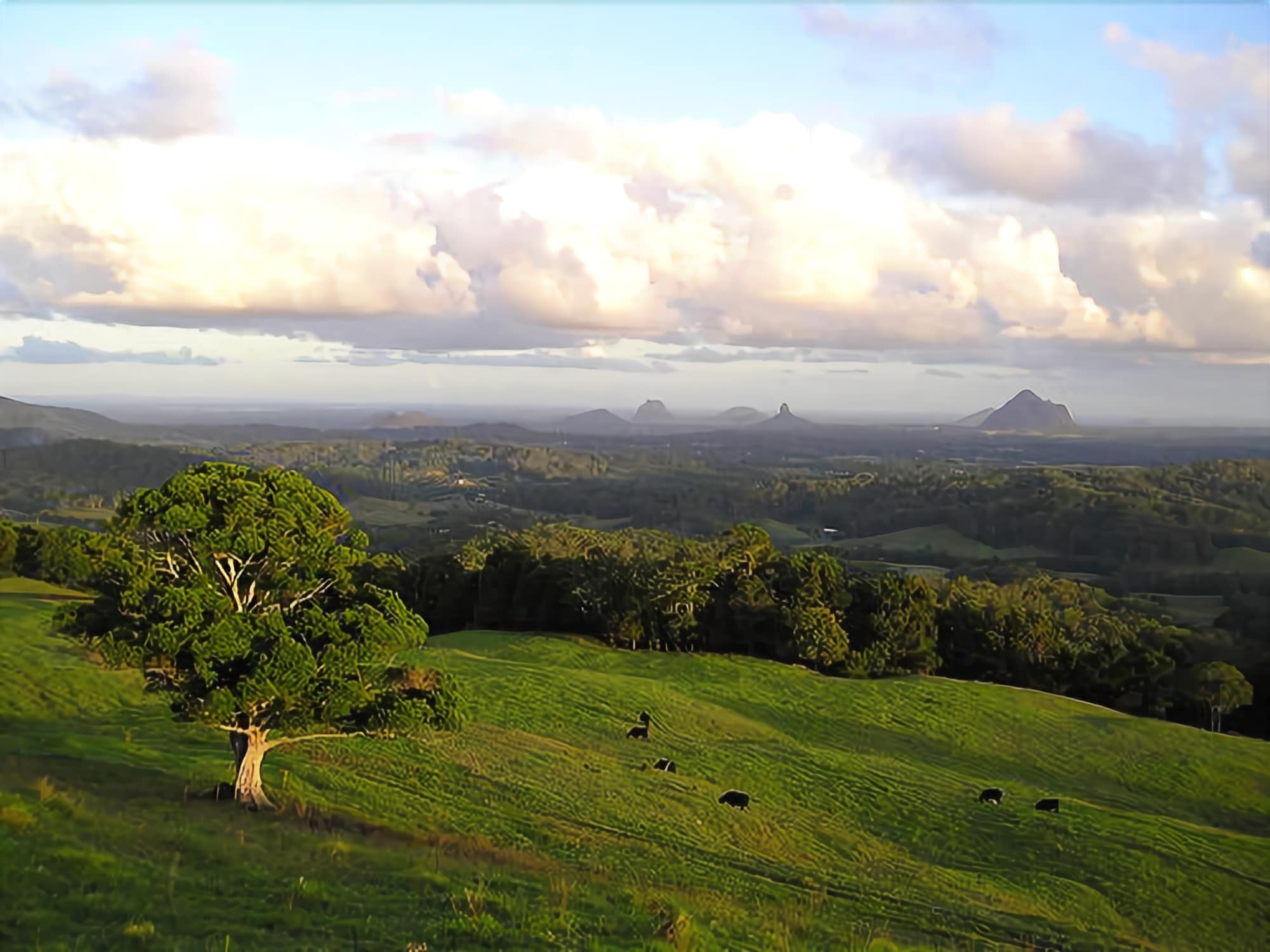 Tranquil Park Maleny