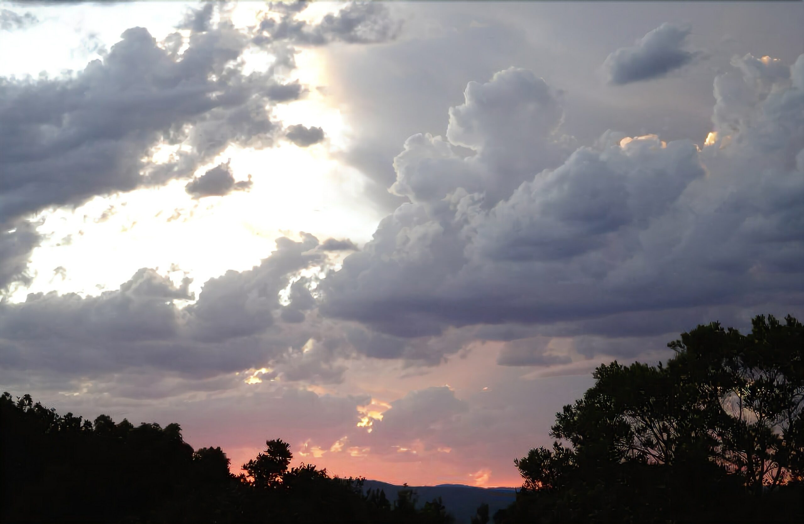 Treetops Accommodation Montville