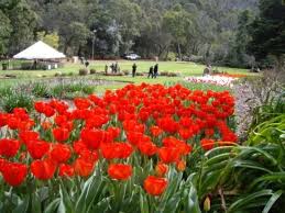 Araluen Botanic Park, Wave Rock, and York full day private tour