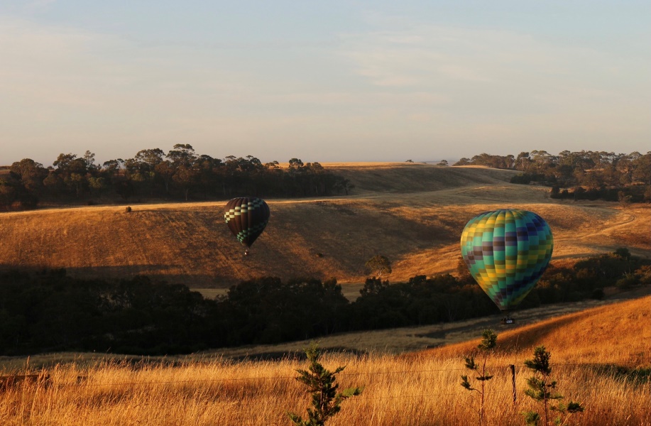 The Great Ocean Flight - Geelong and Bellarine - Includes Breakfast