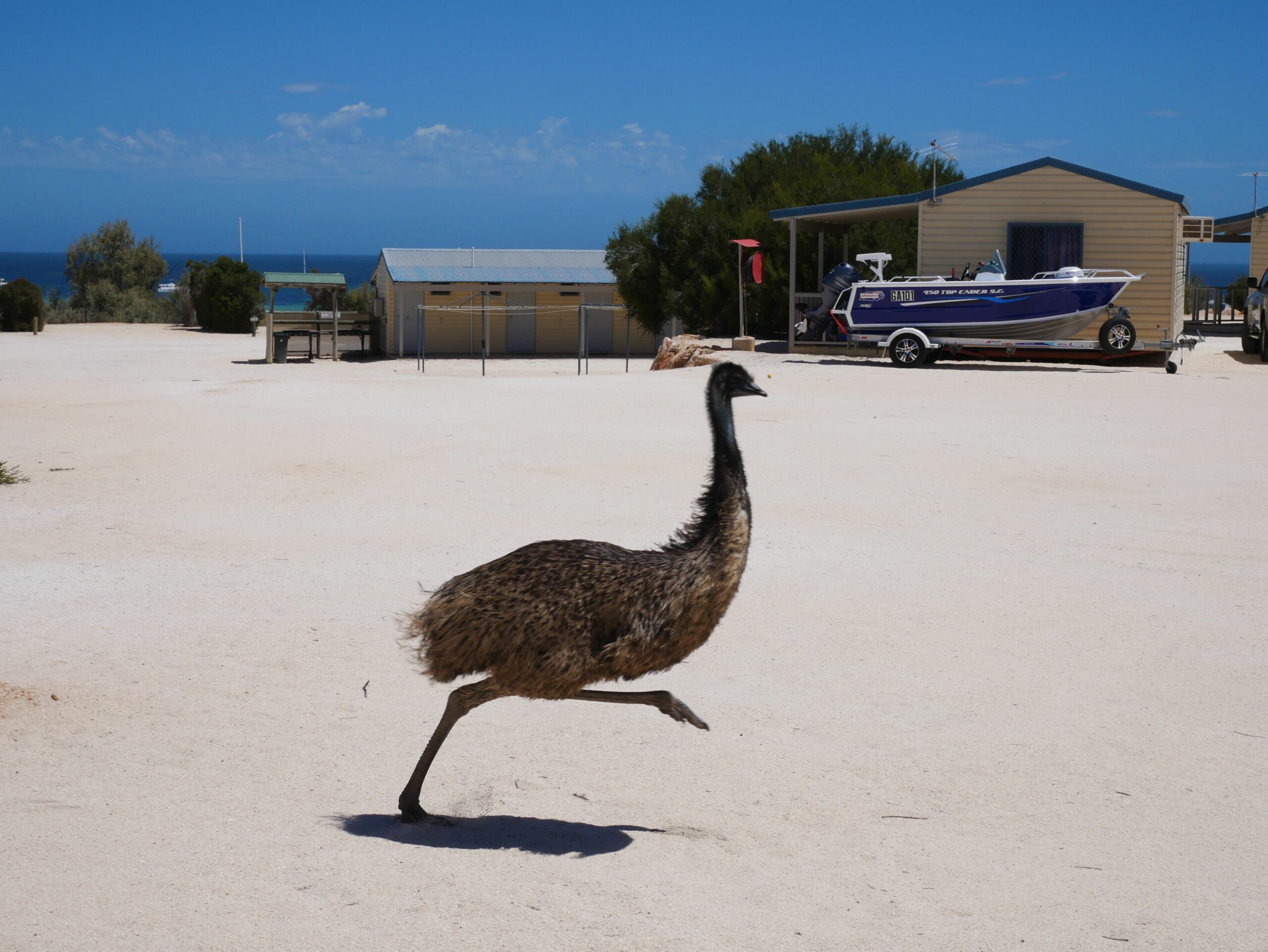 Denham Seaside Caravan Park