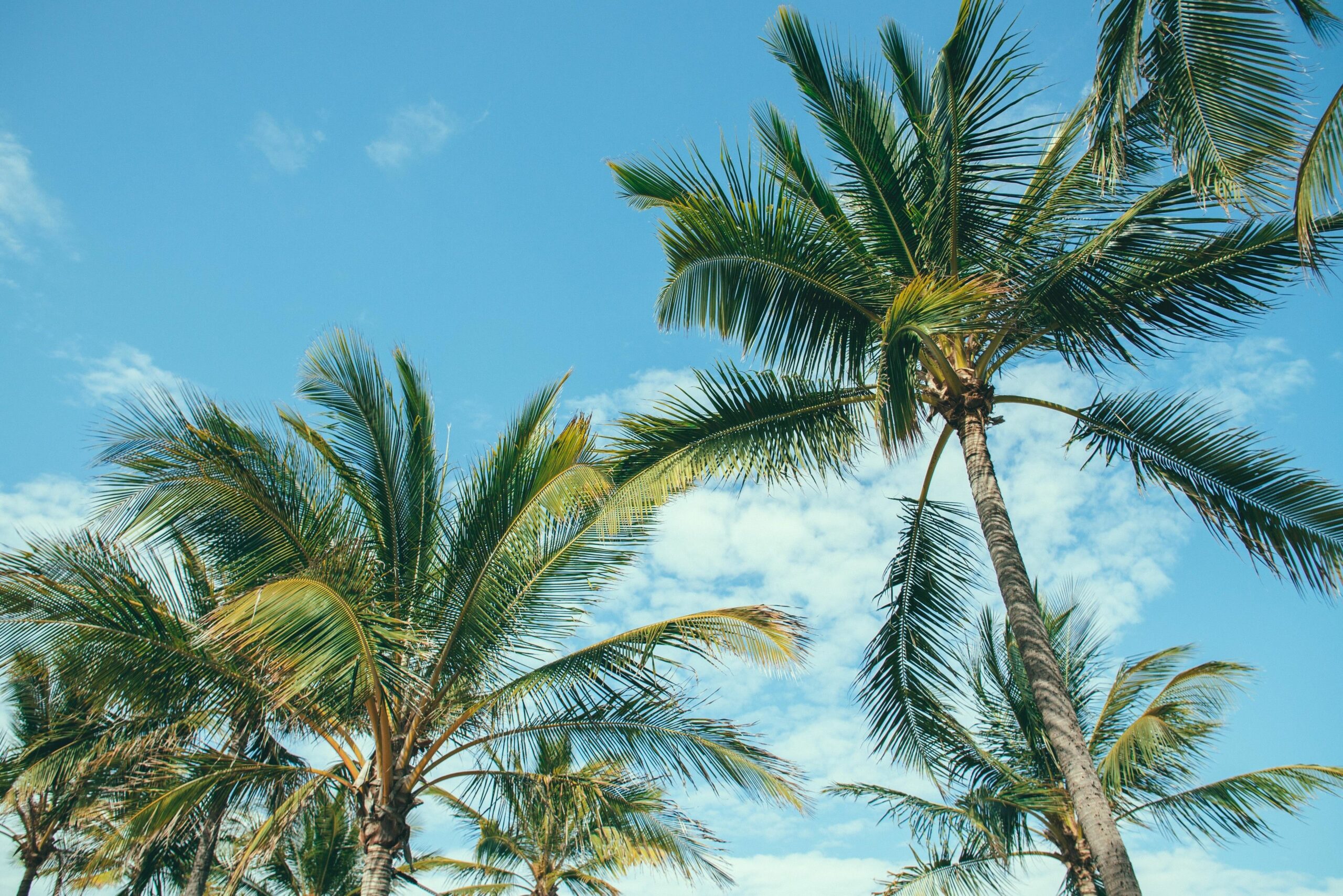 Base Magnetic Island Hostel