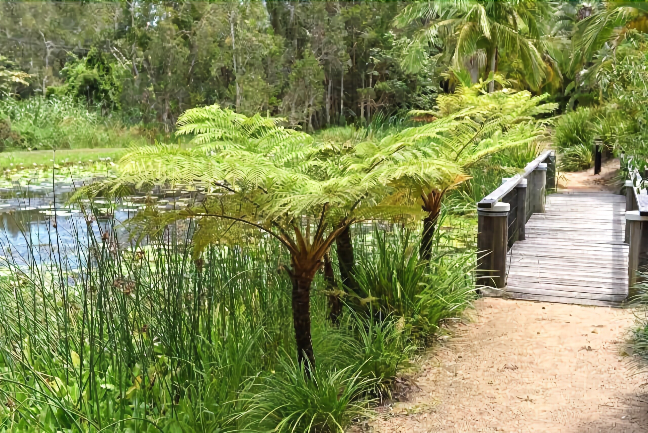 Byron Lakeside Holiday Apartments