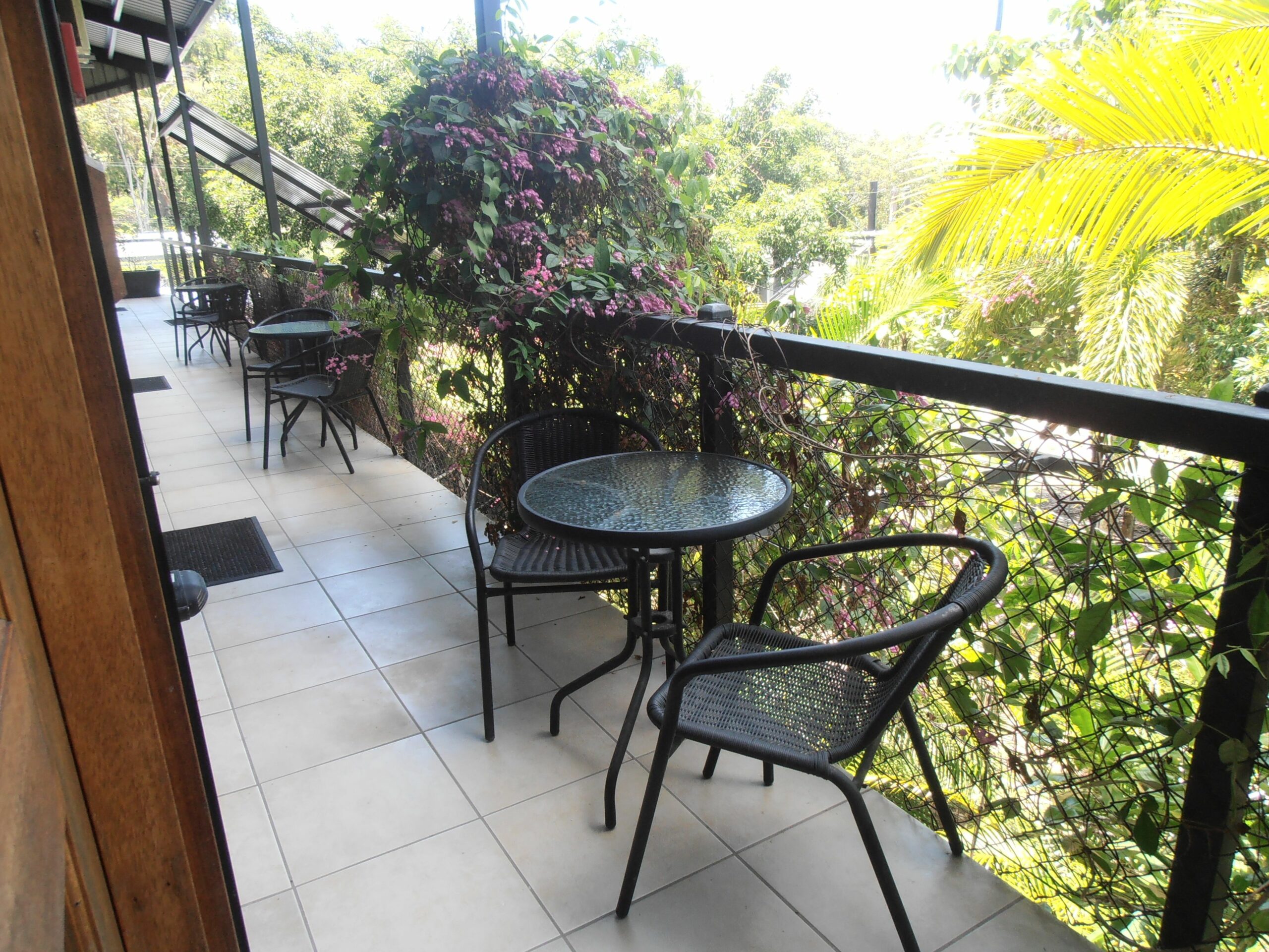 Daintree Wild Zoo & Bed and Breakfast