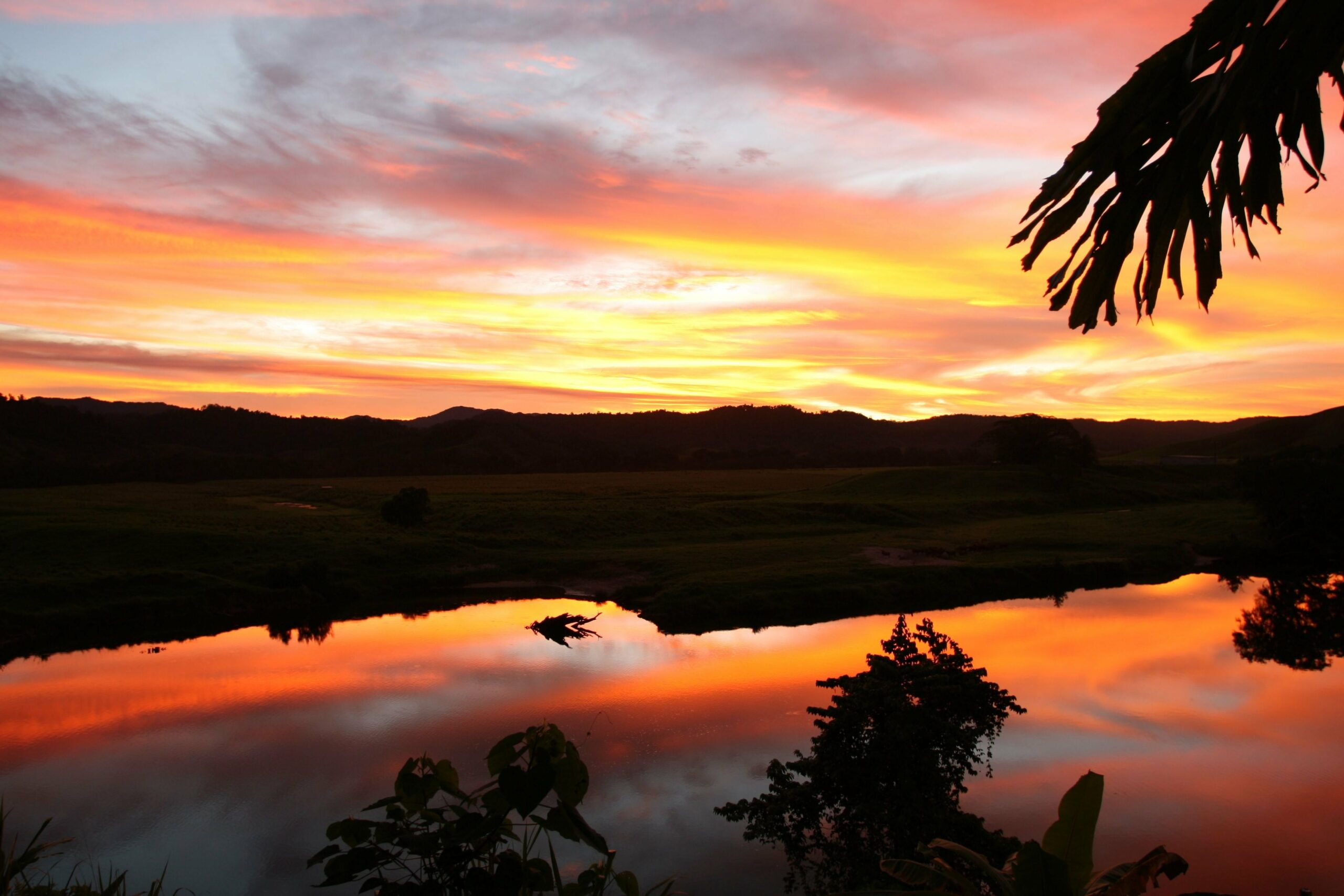 Daintree Village Bed and Breakfast