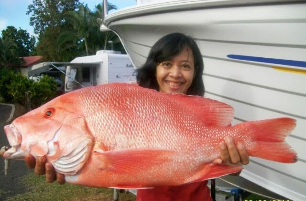 Flying Fish Point Tourist Park