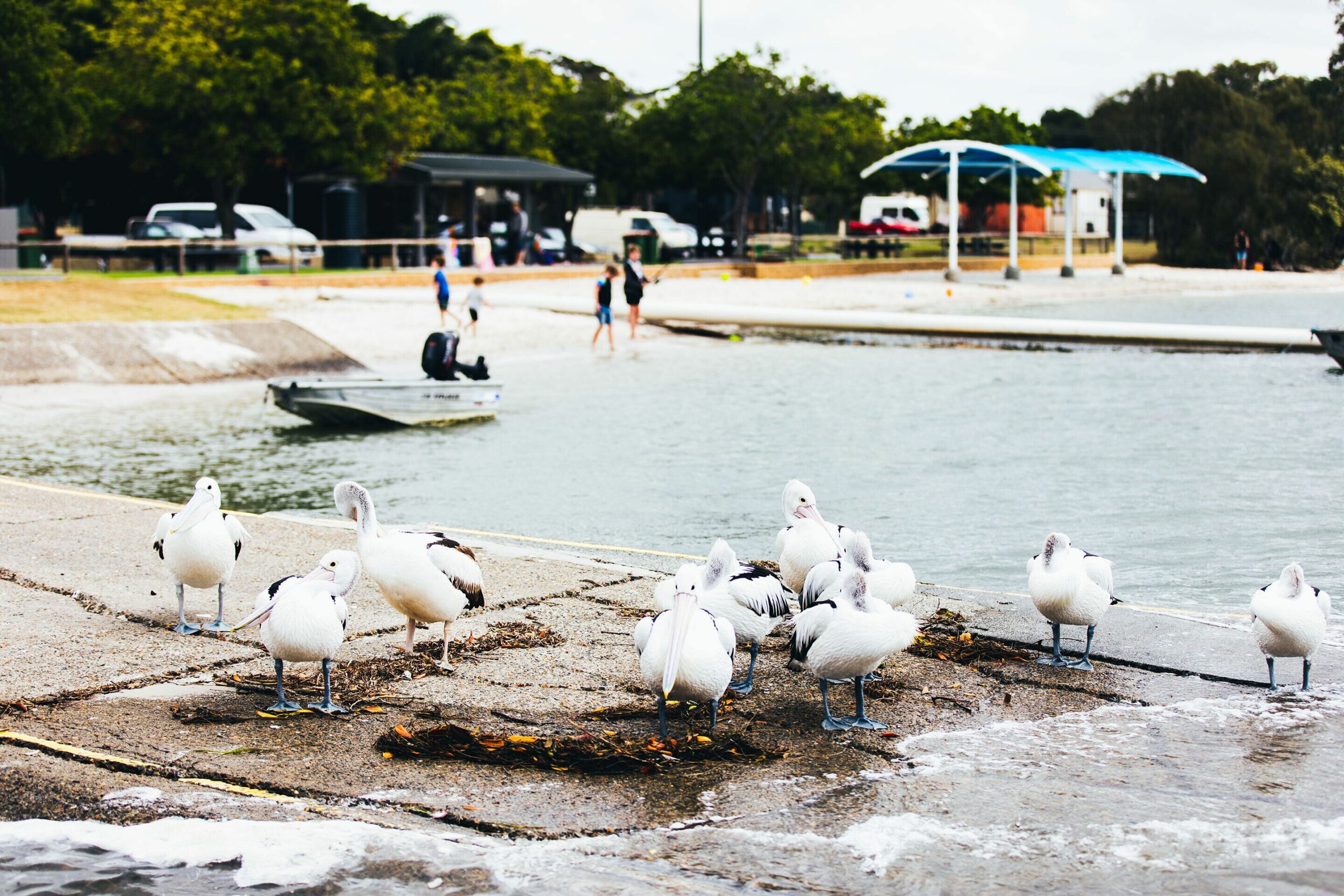 Jacobs Well Tourist Park