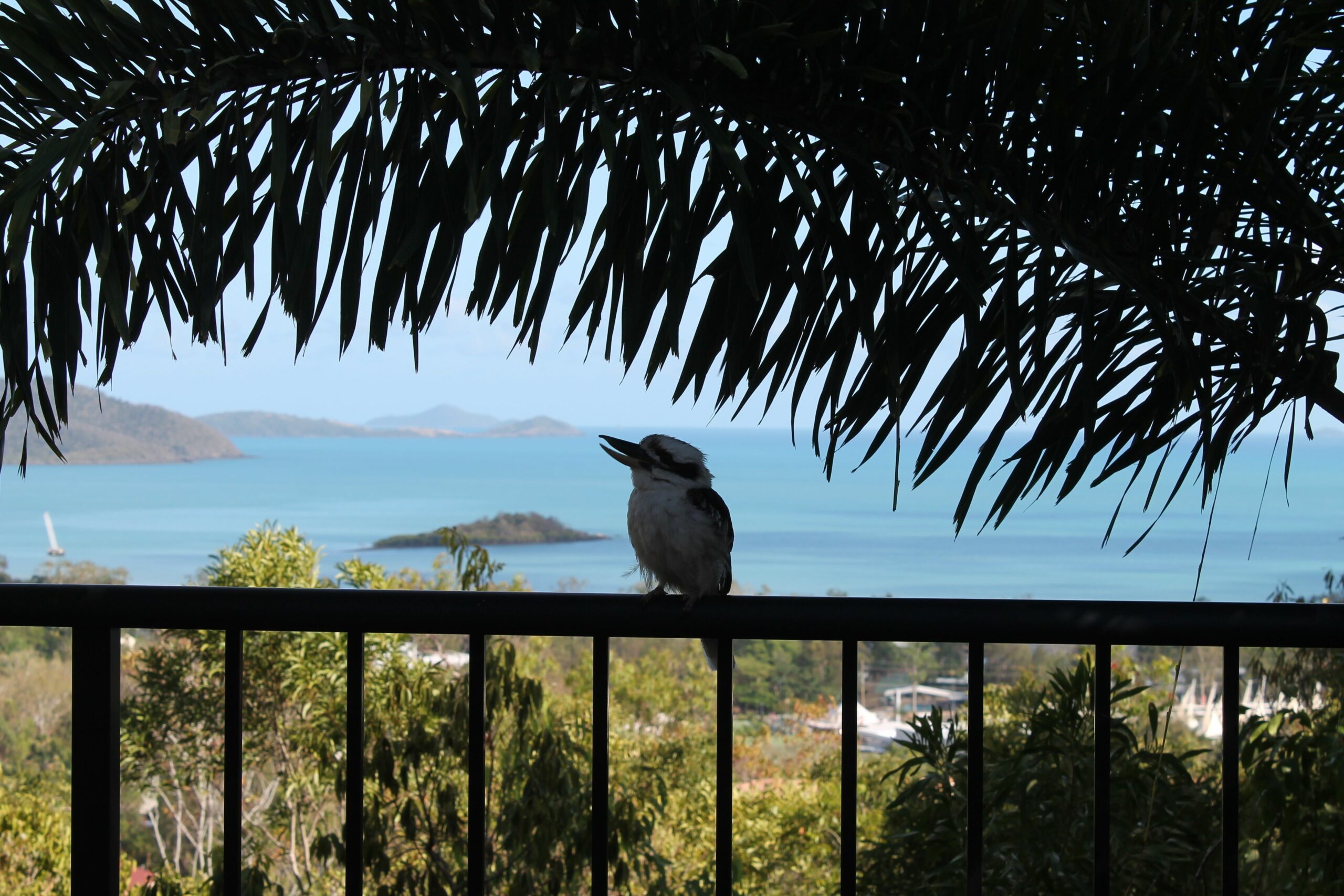 Whitsundays Rainforest Retreat