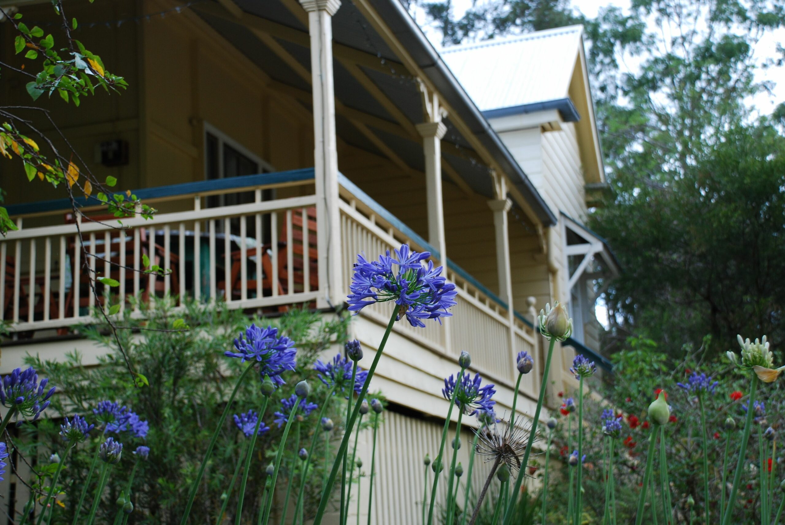 Mt Barney Lodge Country Retreat