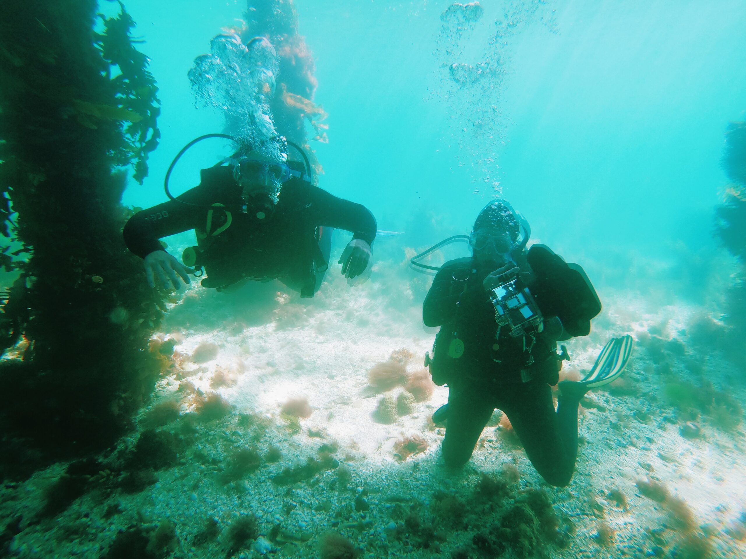 Guided Scuba Dive - Certified Divers