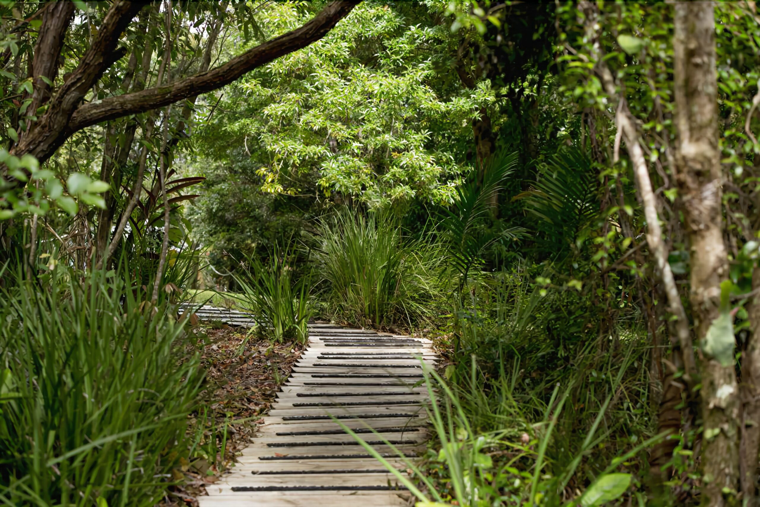 Whispering Valley Cottage Retreat