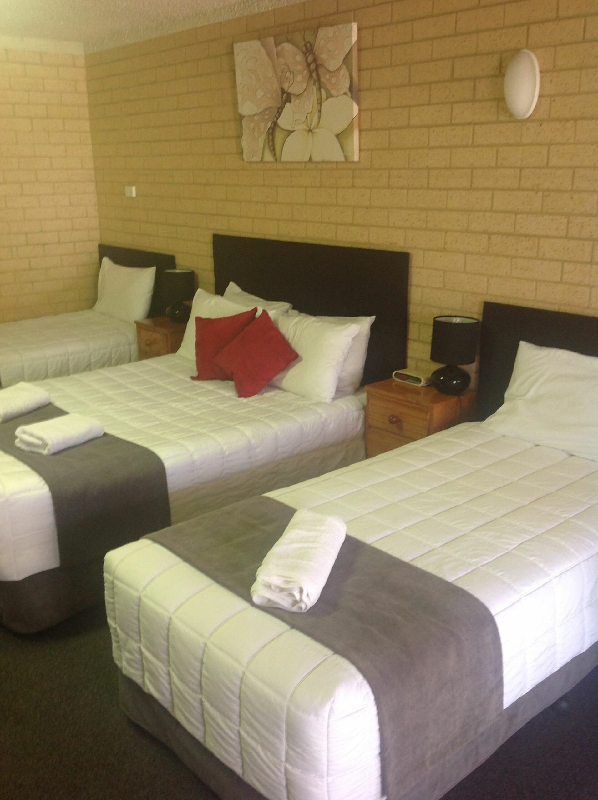 Avlon Gardens Motel - Ballina