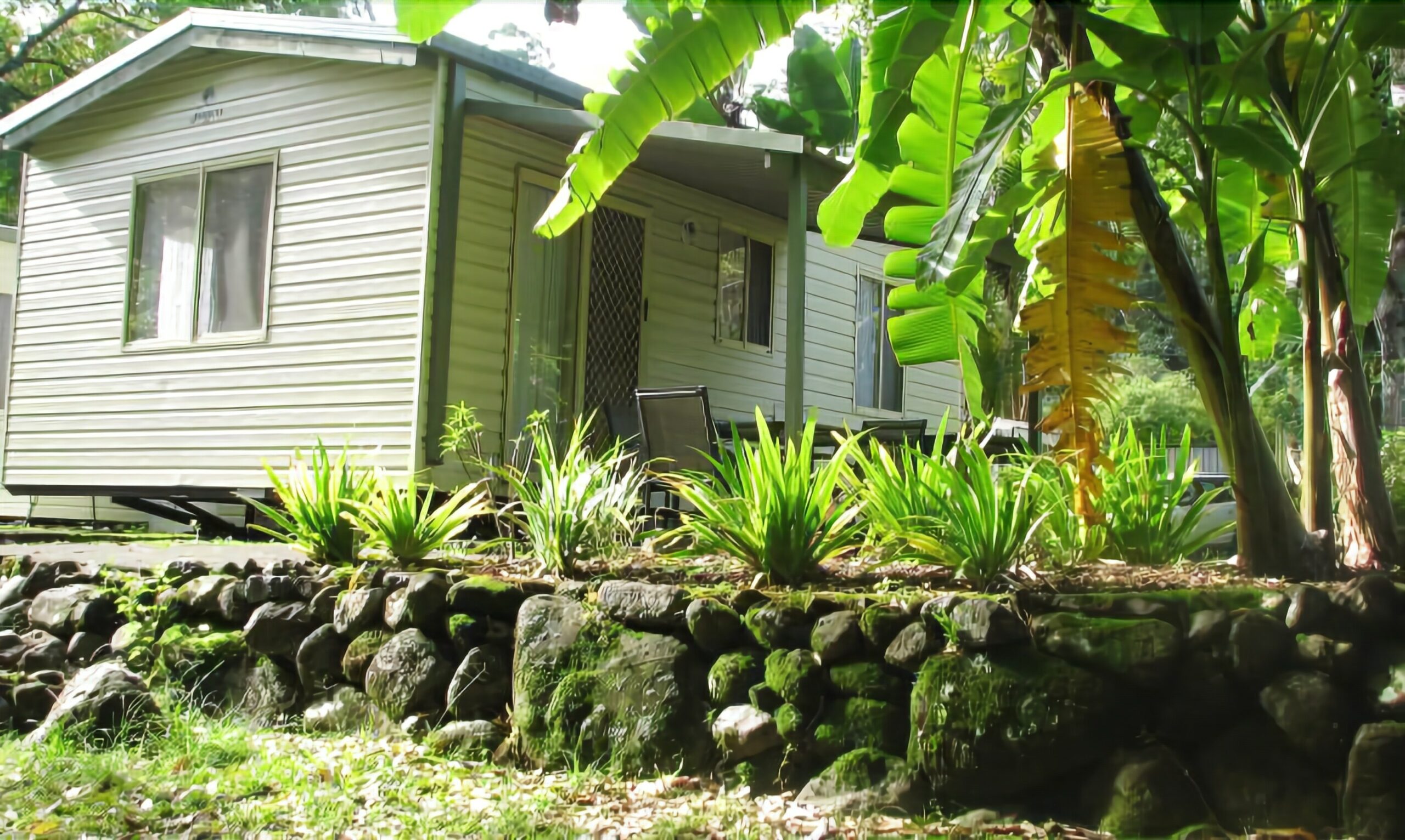 Mt Warning Rainforest Park