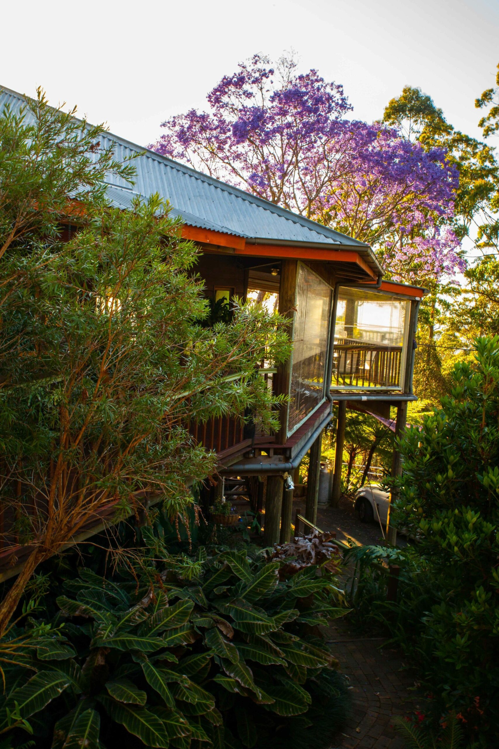 Tamborine Mountain Bed and Breakfast