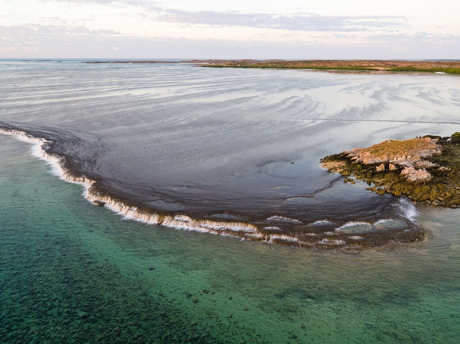 Cygnet Bay Pearls