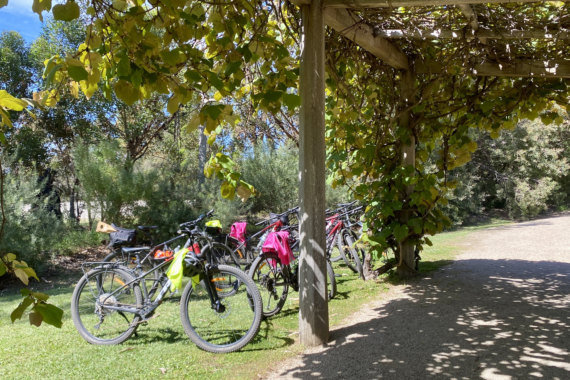 Mornington Peninsula Victoria | Cool Climate Food & Wine Region | Guided Bike Tour