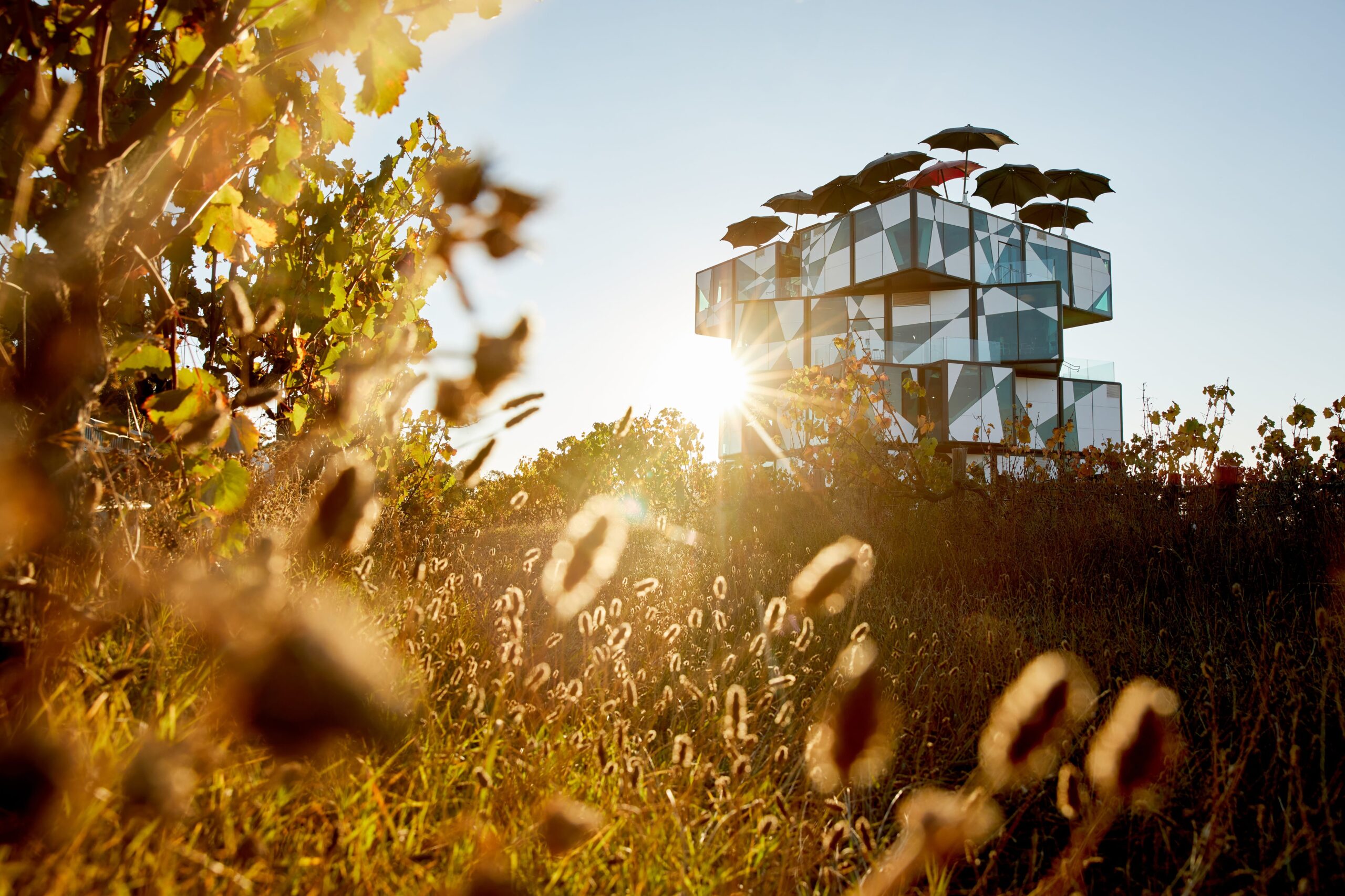 McLaren Vale North Hop On Hop Off Tour – City Pick Up & Return