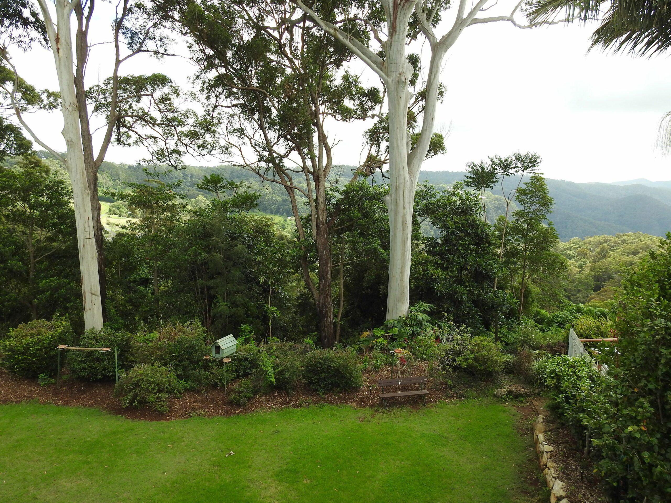 Mt Tamborine Motel