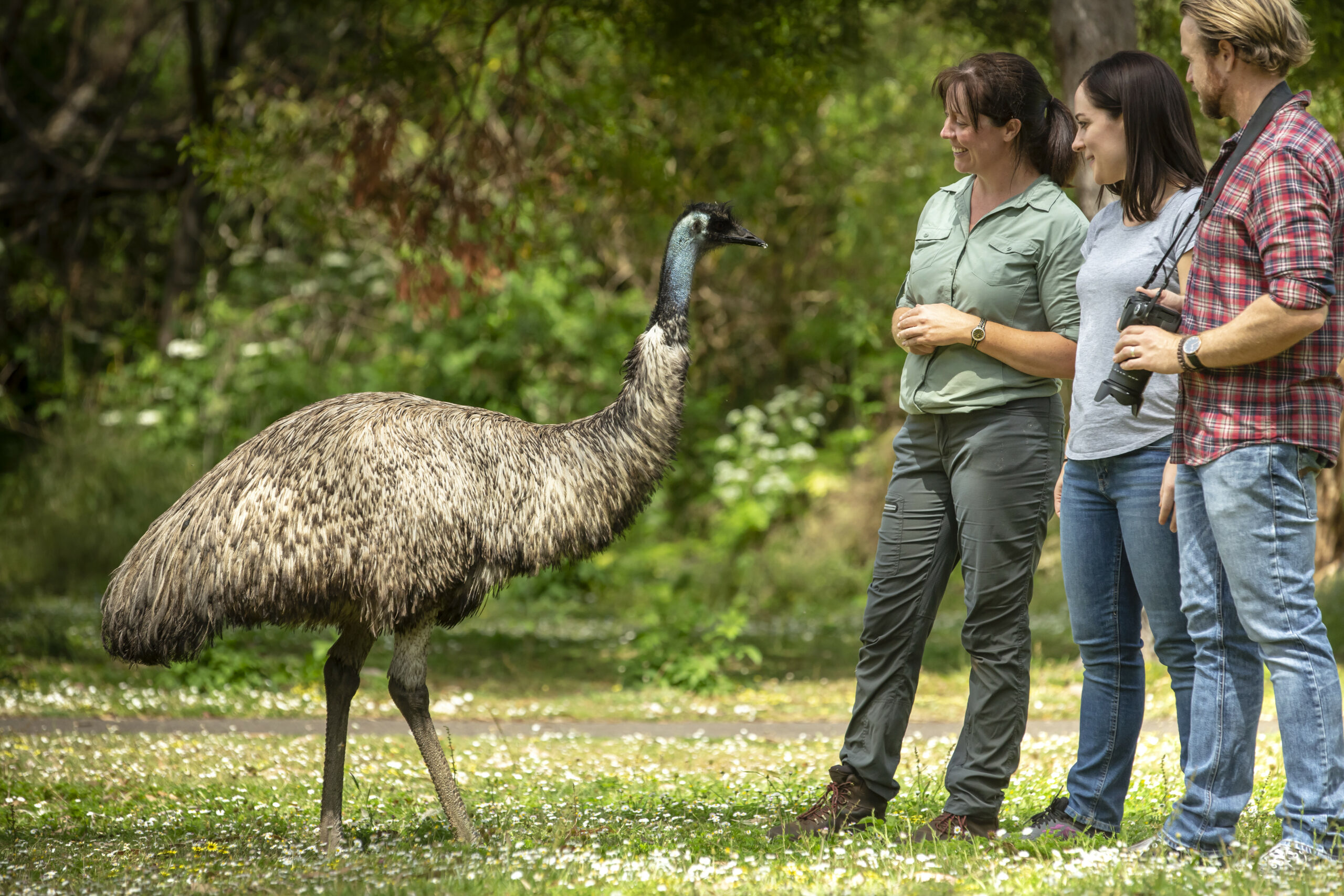 Autopia Tours: Adelaide to Melbourne 3 Day Tour (Basic Dorm Share)