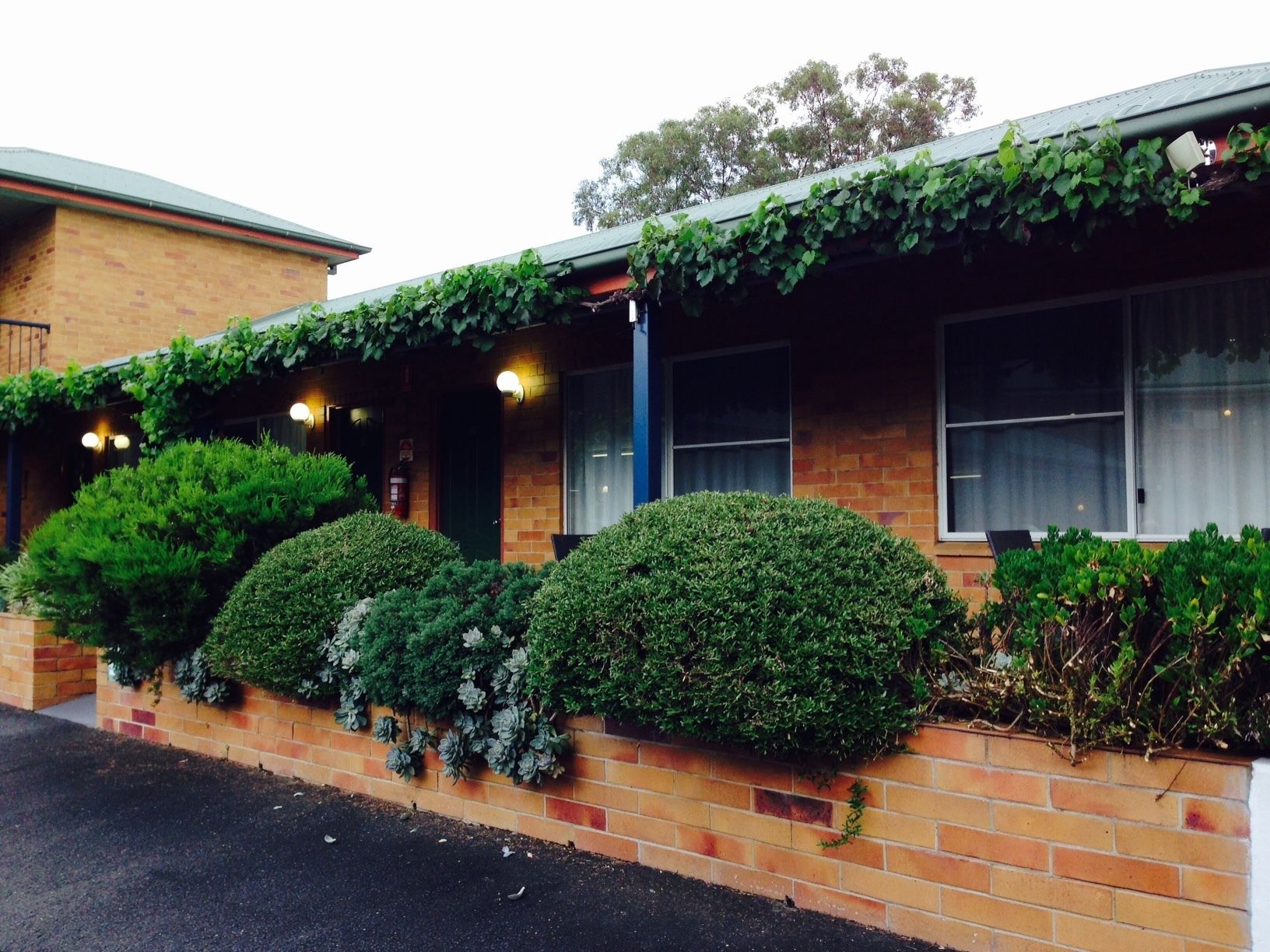 The Vines Motel and Cottages