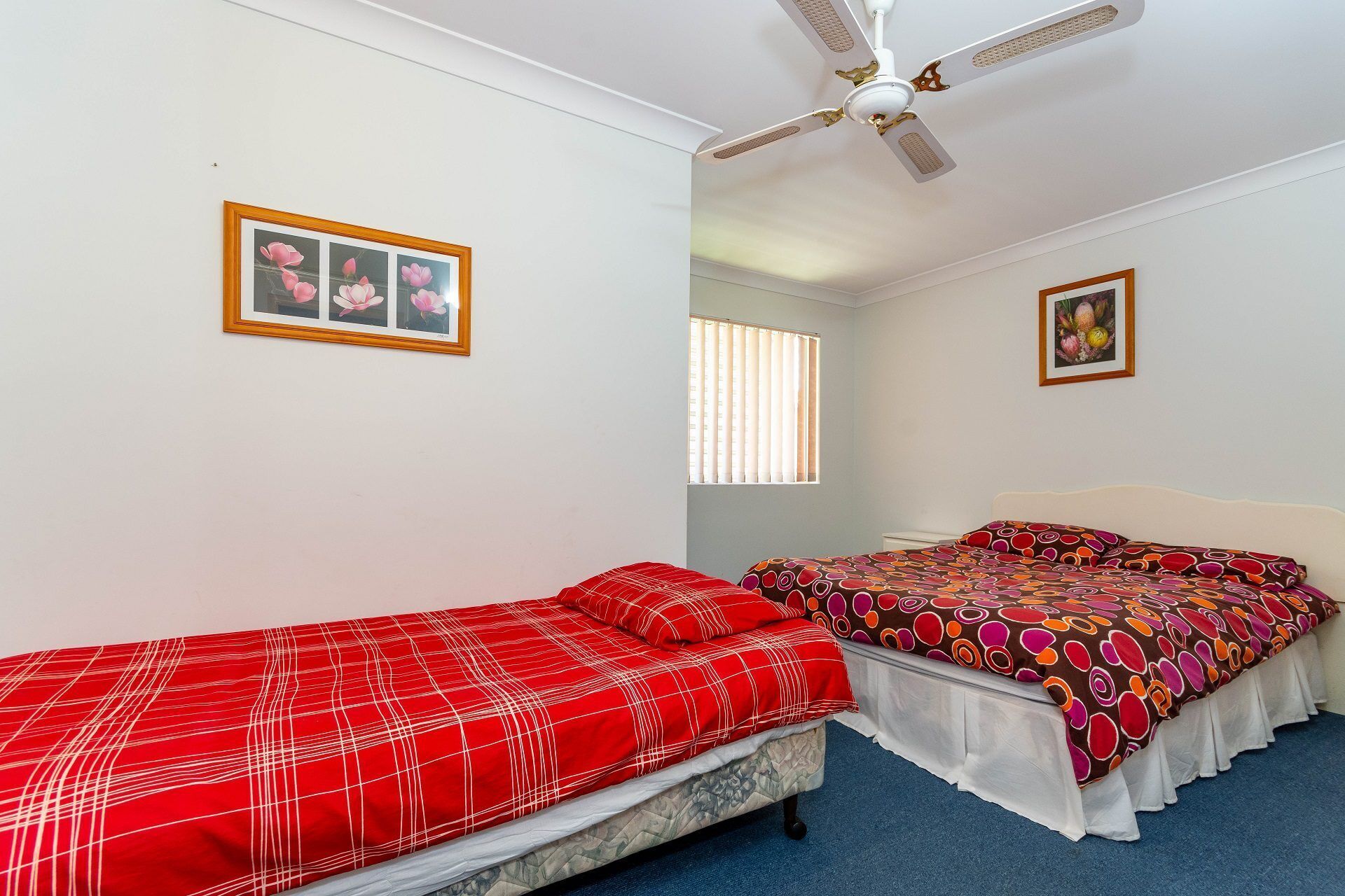 Stylish Unit Opposite Foreshore - Sylvan Beach Esp, Bellara