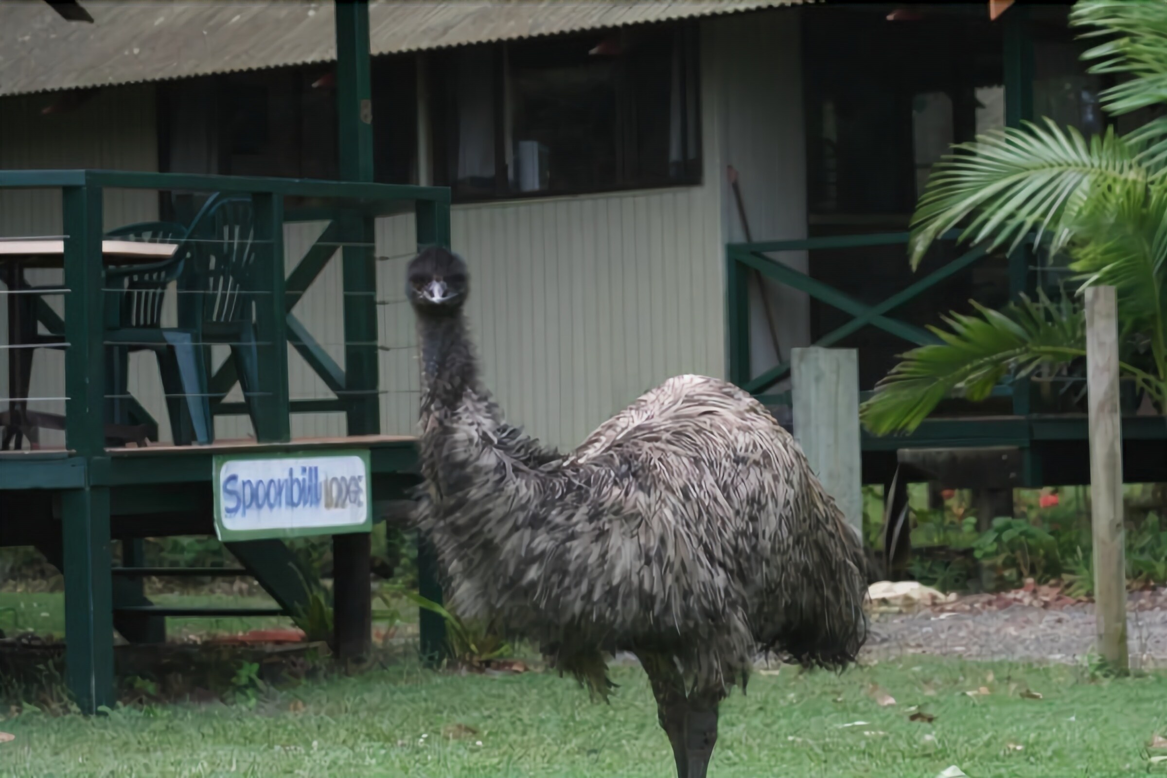 Wooli River Lodges