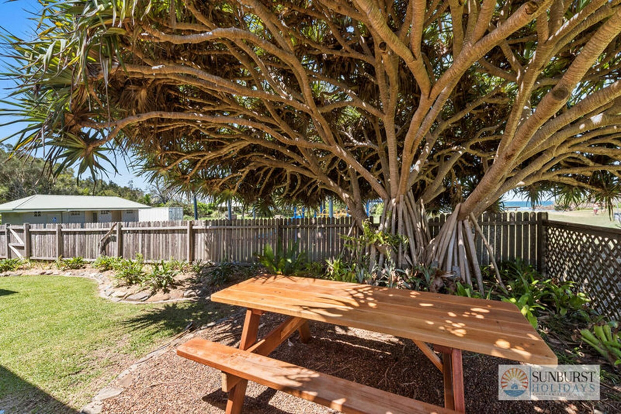 Pandanus On Emerald