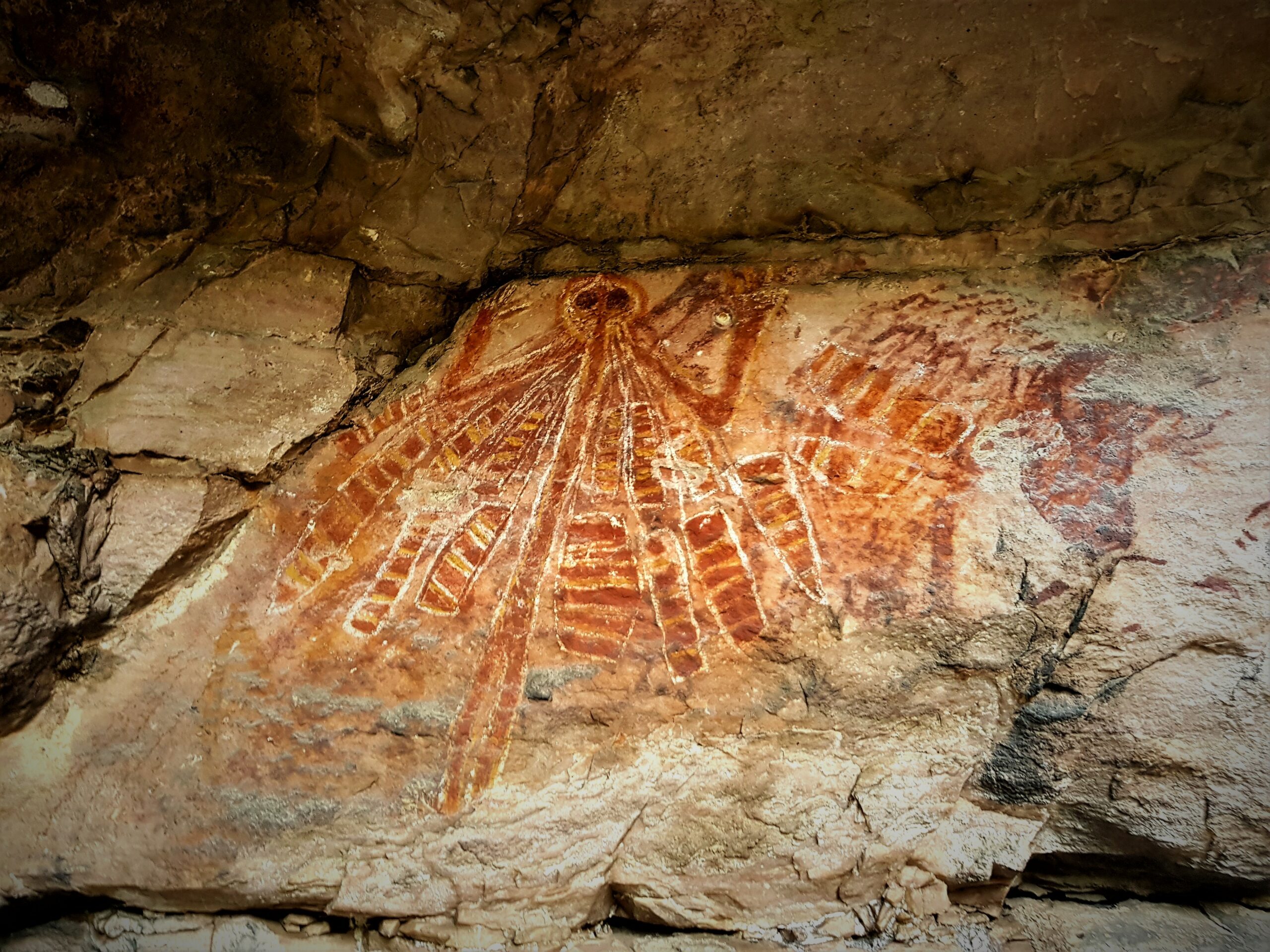 Yingana (the creation mother) Arnhem Land Injalak Hill tour (ex Darwin)