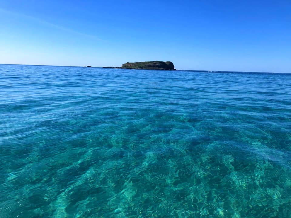 SNORKEL WITH THE TURTLES!