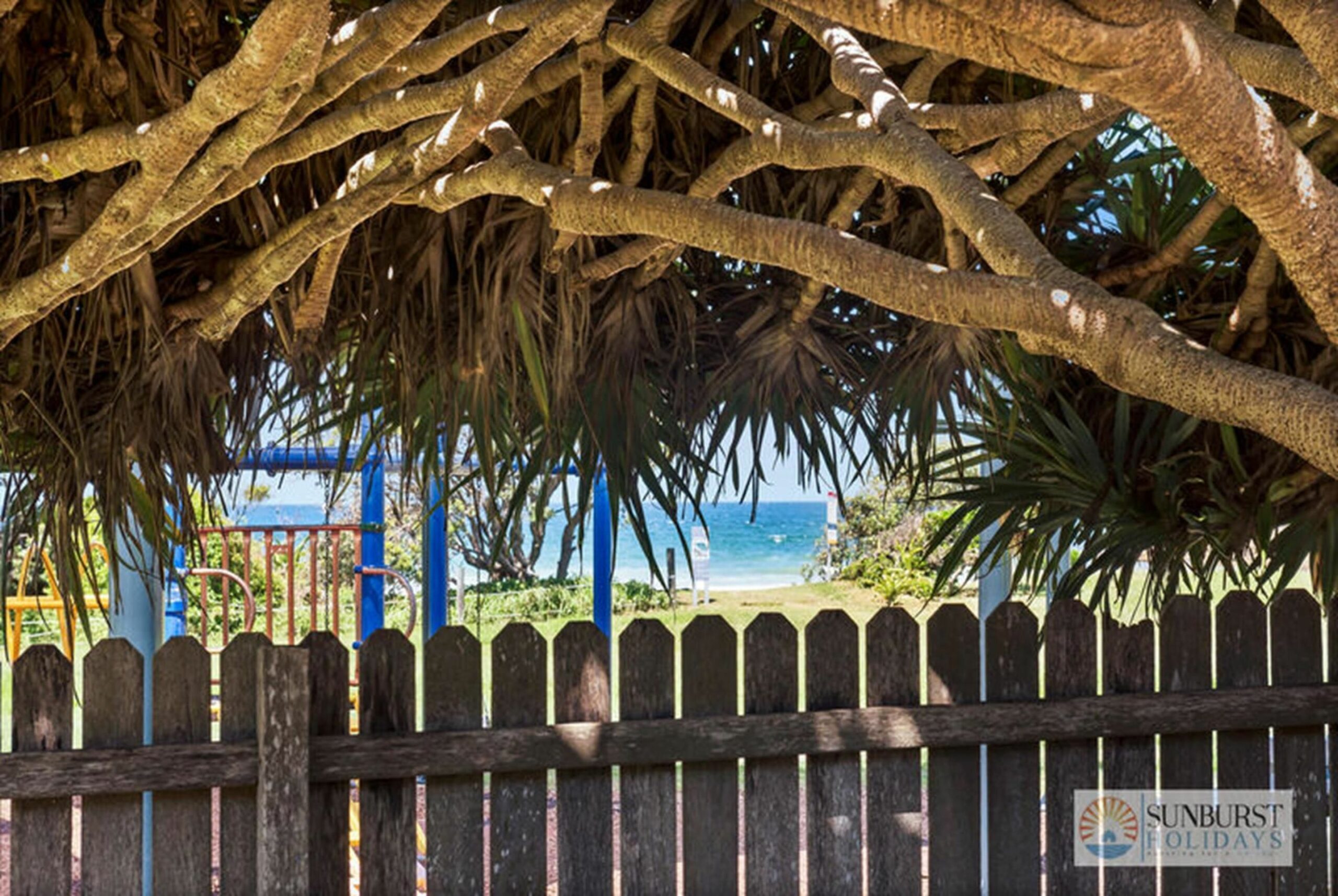 Pandanus On Emerald