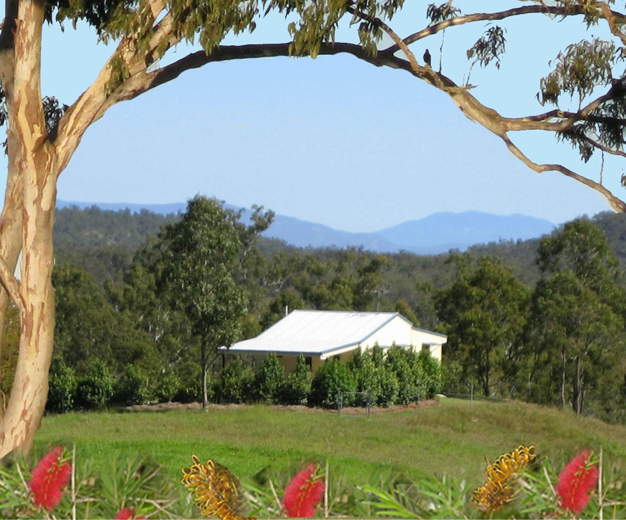 Barking Owl Retreat