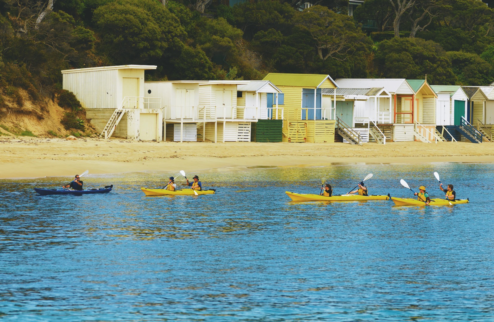 Sea Kayak Tour - Dolphin Sanctuary