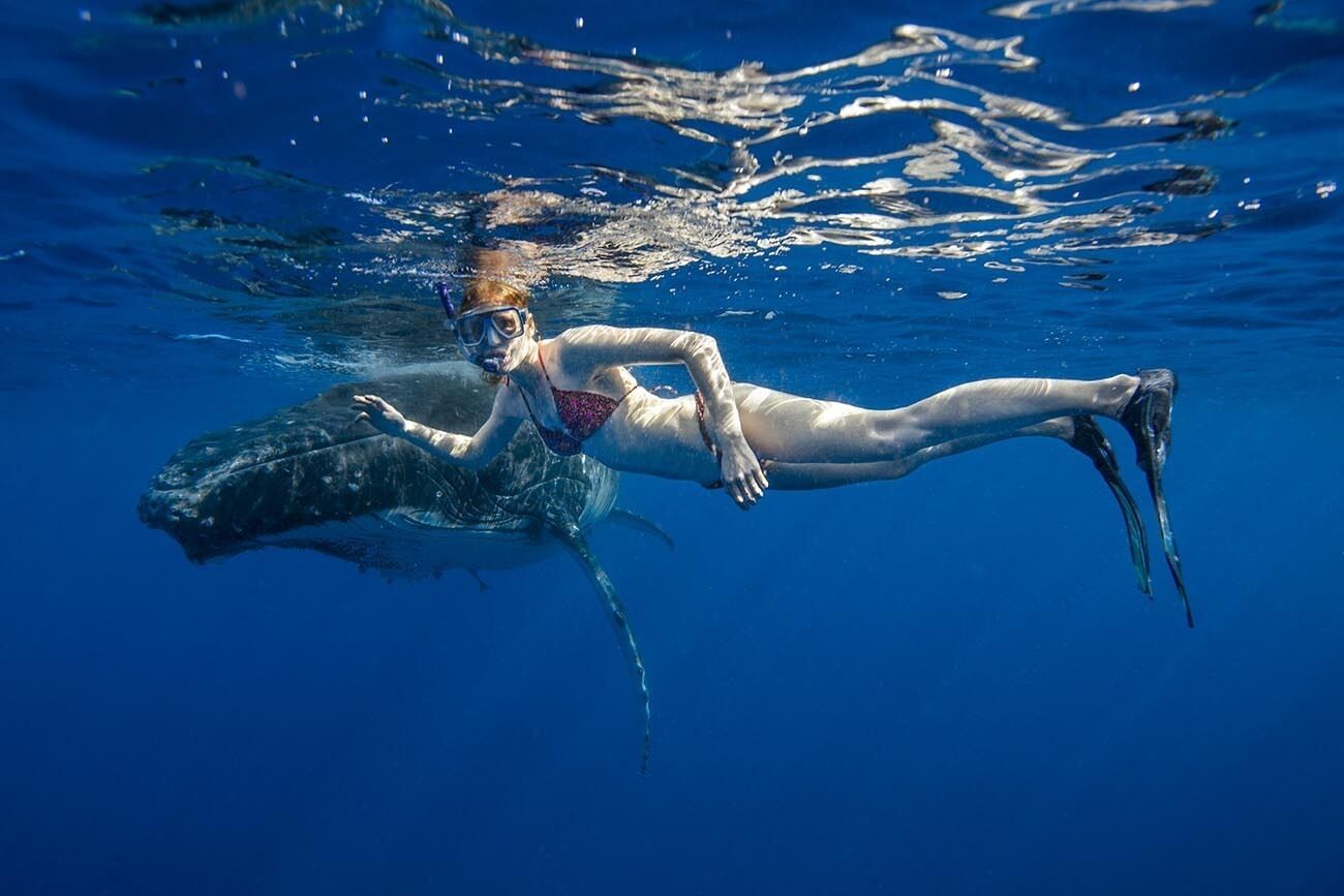 Ningaloo Lodge Exmouth