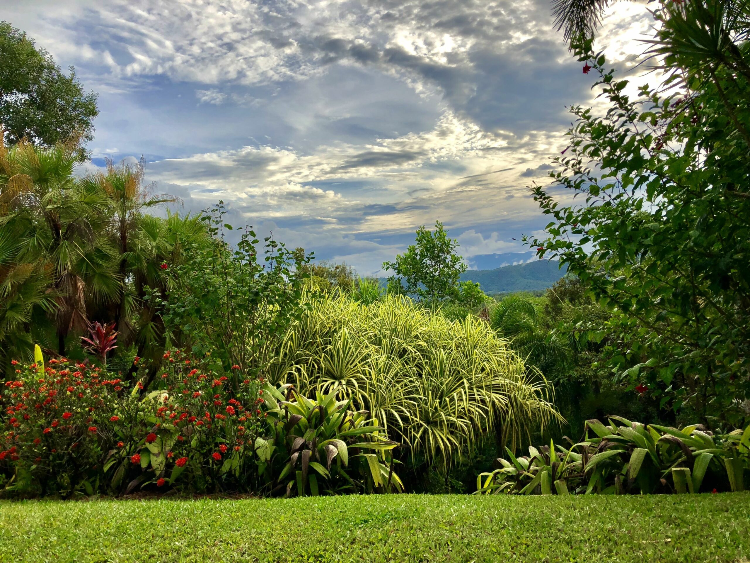 Daintree Manor Bed & Breakfast