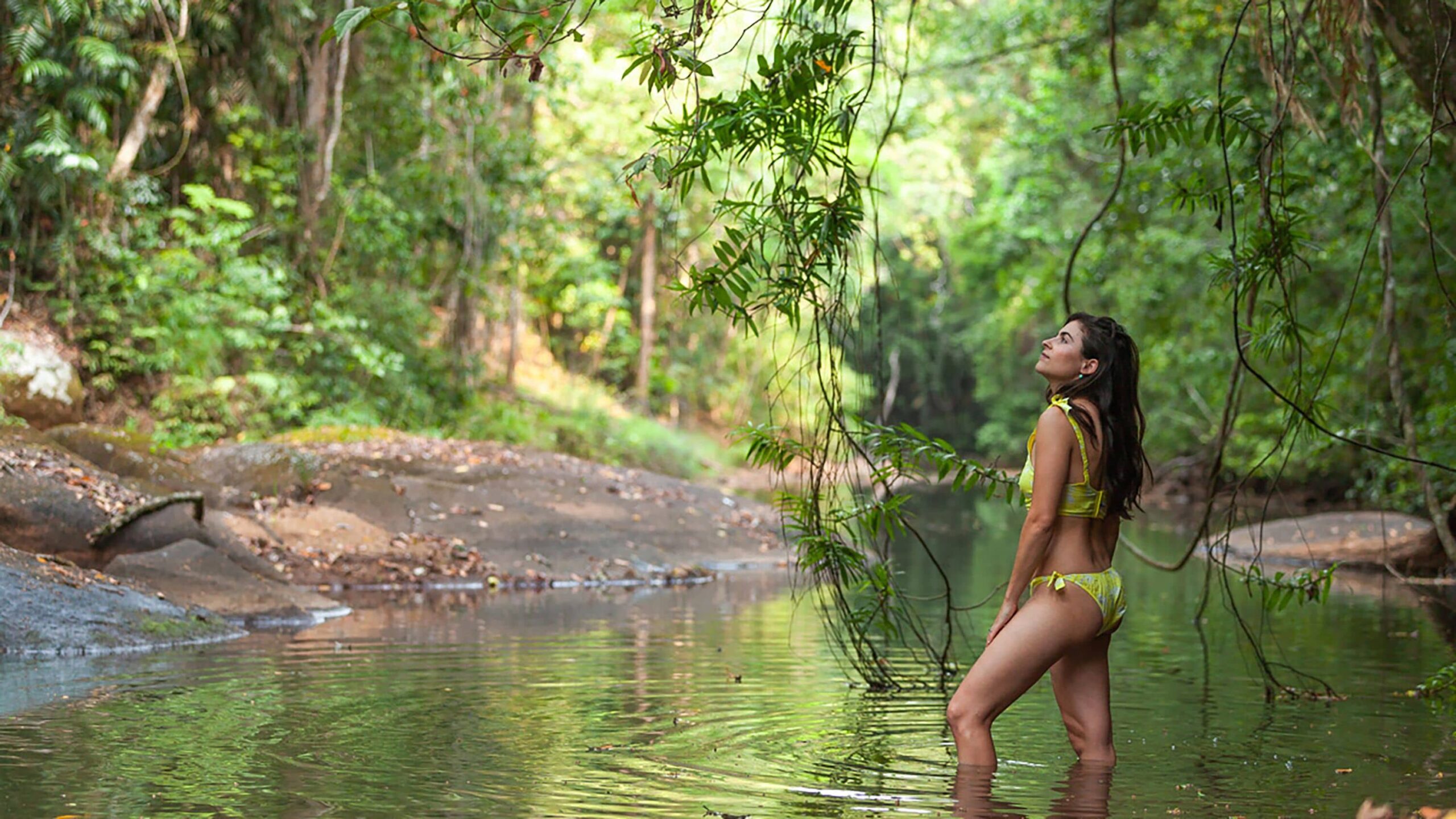 The Canopy Rainforest Treehouses and Wildlife Sanctuary