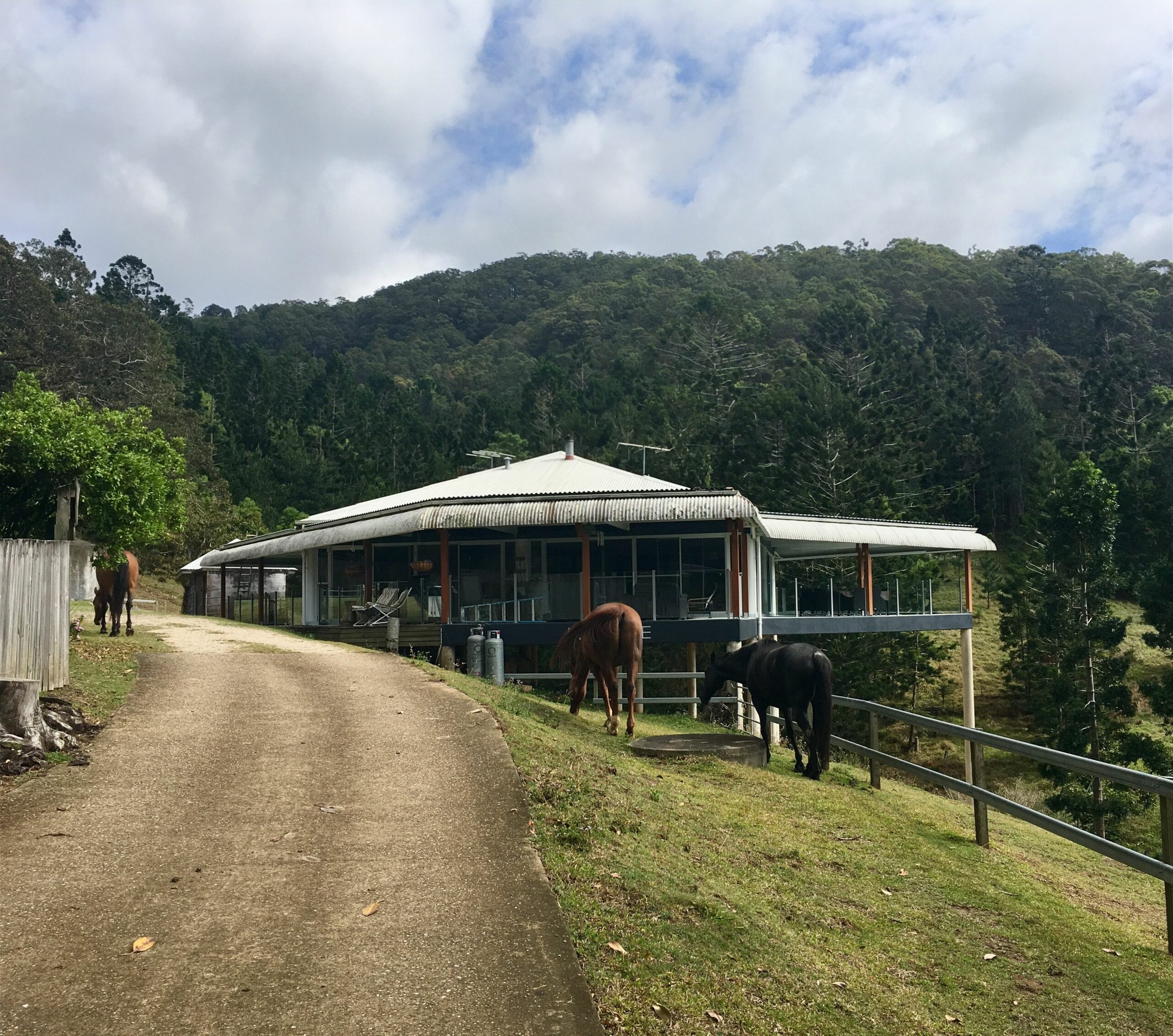 Ingleside Stud Farm