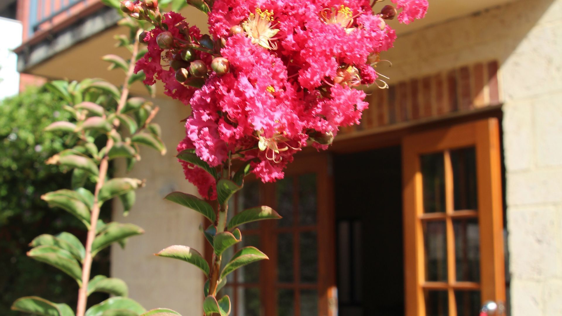 Bright & Sunny, Passive Solar T/house: Naturally Warm in Winter/cool in Summer.