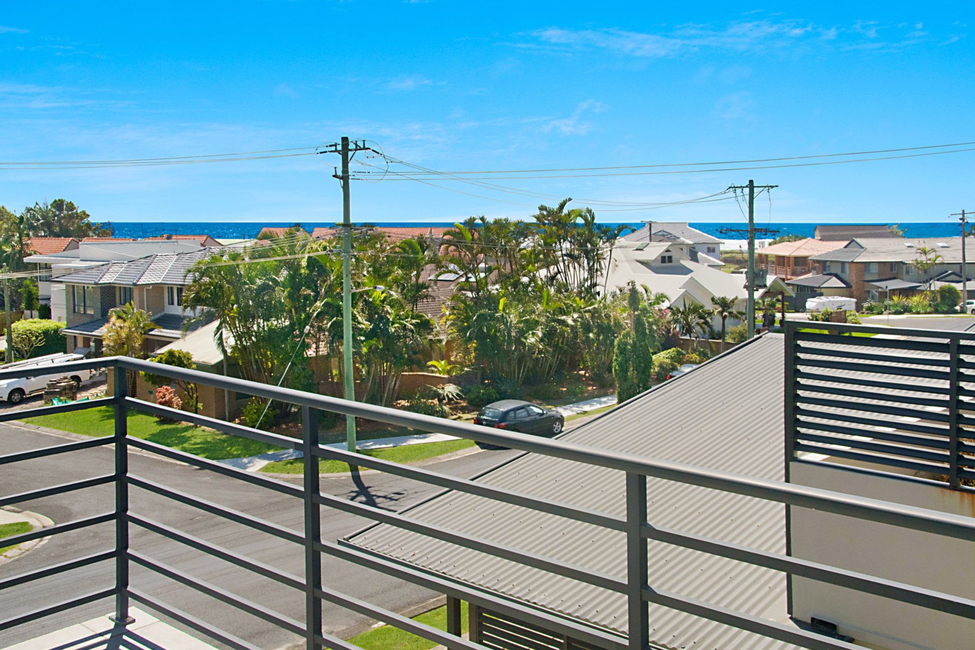 Pandanus - Lennox Head