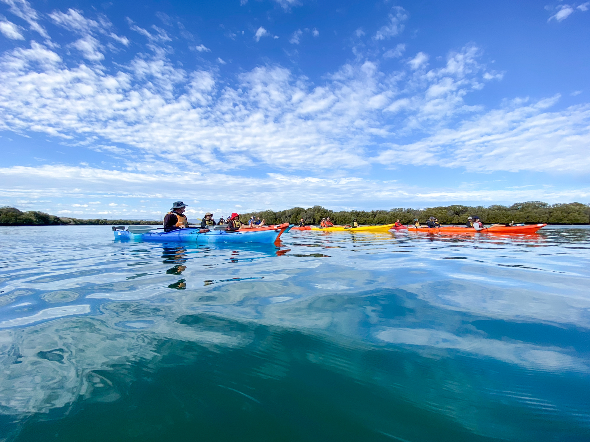 Dolphin Sanctuary & Ships Graveyard Kayak Tour