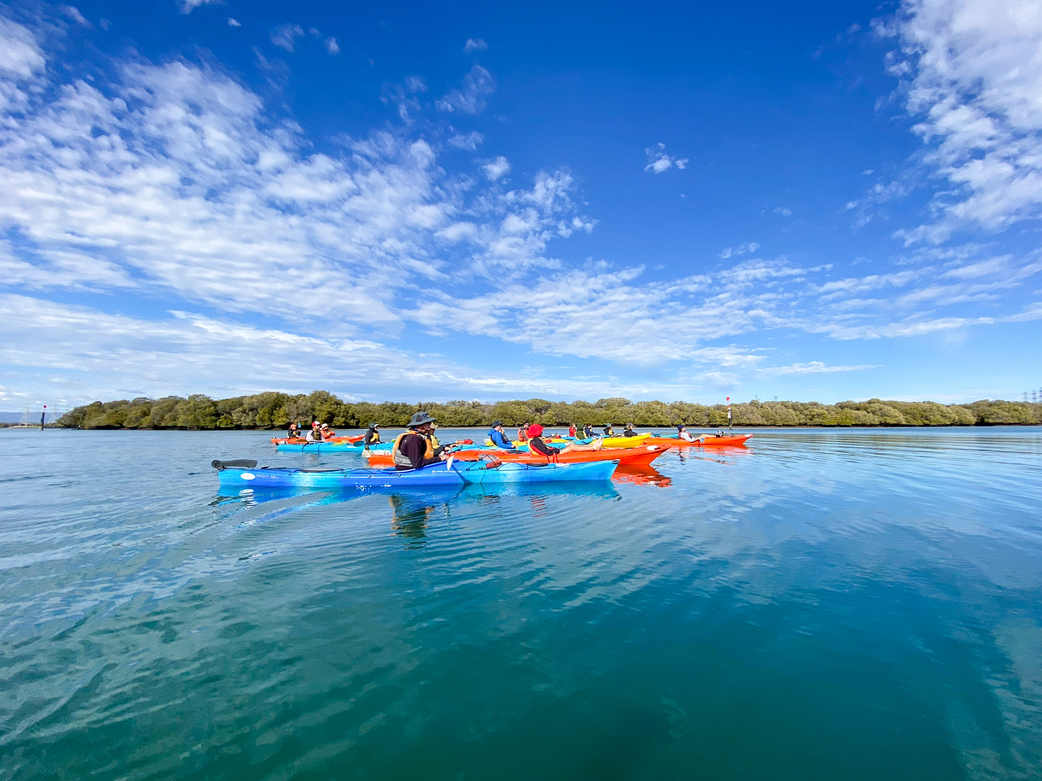 Dolphin Sanctuary Family Tour