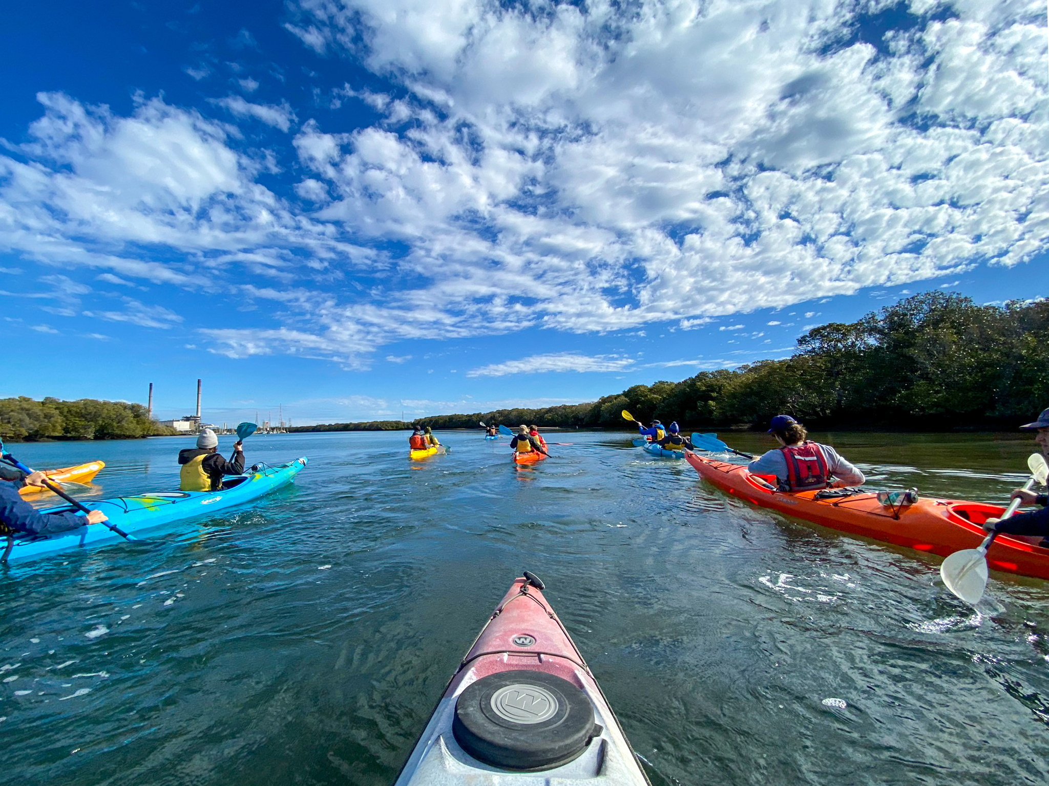 Dolphin Sanctuary & Ships Graveyard Kayak Tour