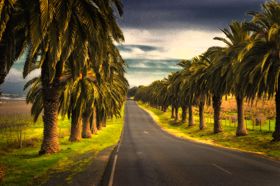 Fruit of the Vine - Barossa Valley