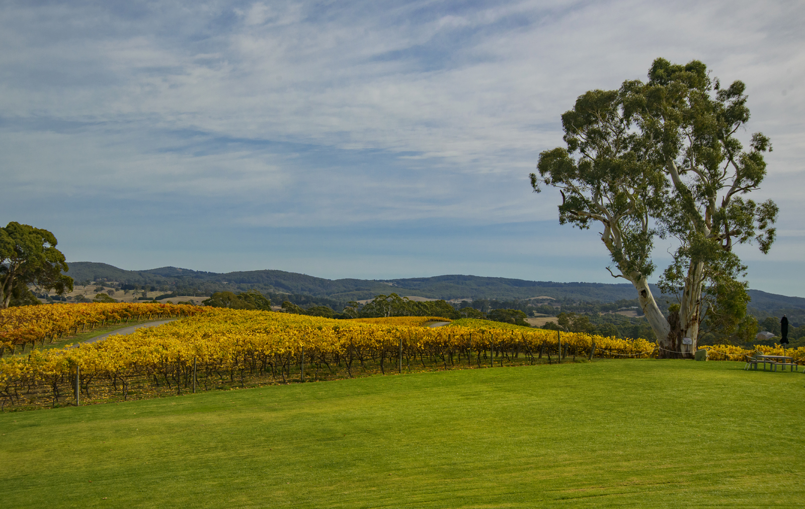 Adelaide Hills & Hahndorf Hideaway - Small Group Tour