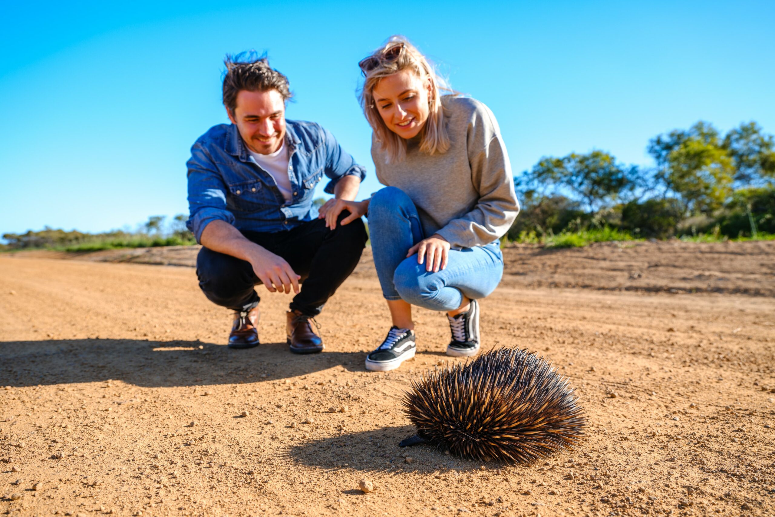 Autopia Tours: Perth to Exmouth Explorer 7 Day (Double/Twin Share)