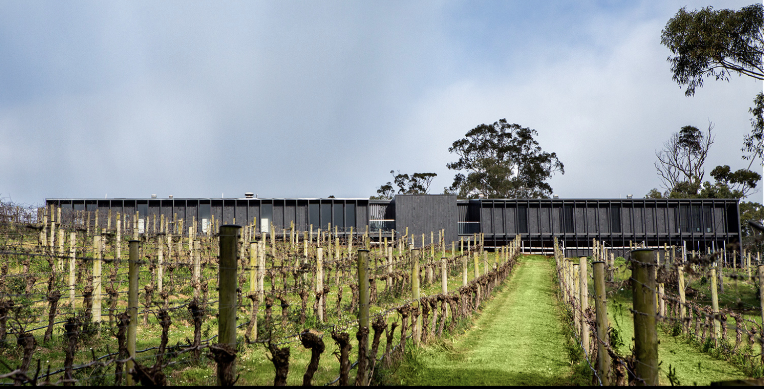 Trofeo Estate Winery Experience - Departing Moorabbin