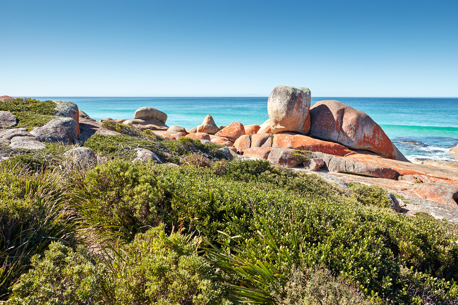 Bay of Fires and Mt William National Park - 4 day walking tour