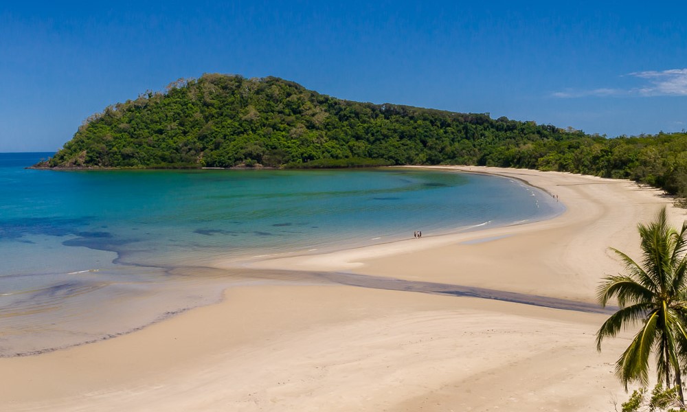 Cape Tribulation, Daintree & Mossman Gorge (includes lunch)